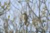 _dsc0840_small.jpg
