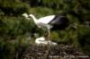 dsc02771_small.jpg