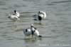 dsc02850_small.jpg