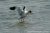 dsc02856_small.jpg