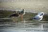 dsc02861_small.jpg