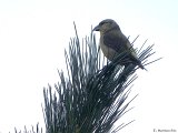 DSCN8266.jpg