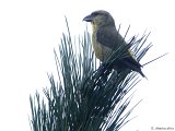 DSCN8277.jpg