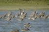 dsc04608_small.jpg