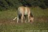 dsc04615_small.jpg