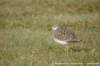 dsc04684_small.jpg