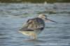 dsc04728_small.jpg