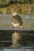 dsc04741_small.jpg