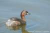 dscb_4876_small.jpg
