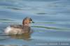 dscb_4889_small.jpg