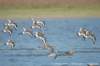 dscb_4930_small.jpg