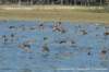 dscb_4993_small.jpg