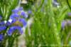 dsc03374_small.jpg