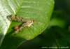 dscb_2043_small.jpg