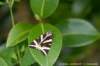dscb_2124_small.jpg