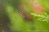 dscb_2173_small.jpg