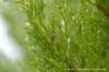 dscb_2178_small.jpg