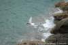 dscb_2203_small.jpg