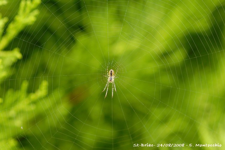 dscb_2314.jpg