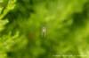 dscb_2314_small.jpg