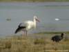 dsc06205_small.jpg