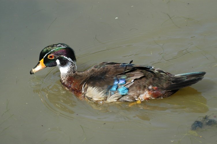 Photograph